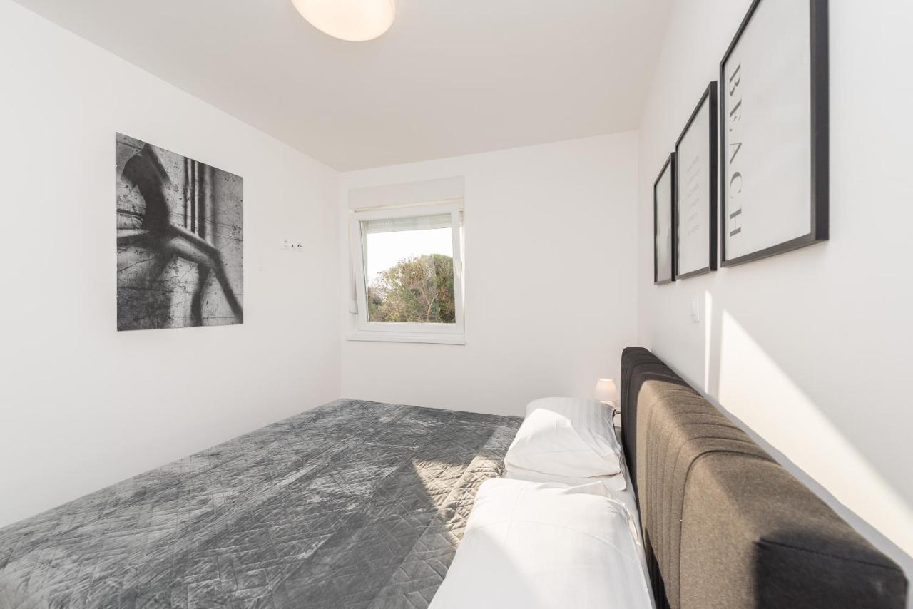 Sara Luxury Apartment With A Pool Novalja Dış mekan fotoğraf